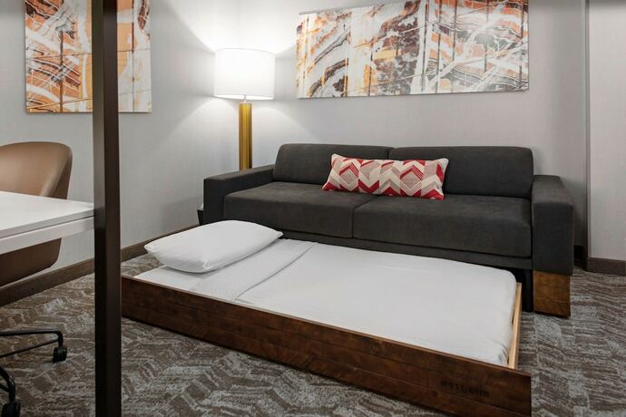 Imagen de la habitación del Hotel Springhill Suites By Marriott Beaufort. Foto 14