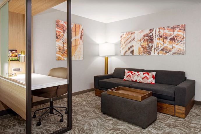 Imagen de la habitación del Hotel Springhill Suites By Marriott Beaufort. Foto 6