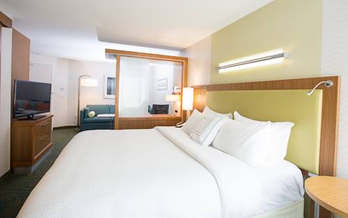 Imagen de la habitación del Hotel Springhill Suites By Marriott Bloomington. Foto 4
