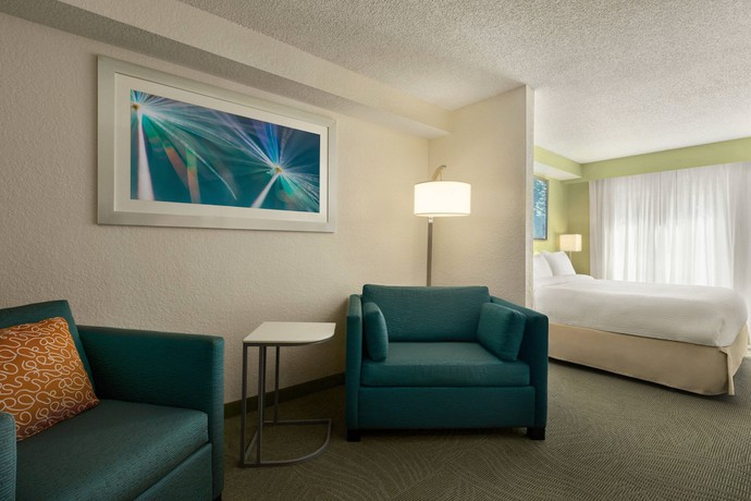 Imagen de la habitación del Hotel Springhill Suites By Marriott Boca Raton. Foto 2