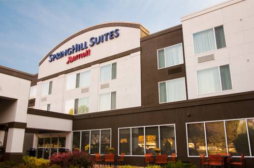 Imagen general del Hotel Springhill Suites By Marriott Boise Parkcenter. Foto 1