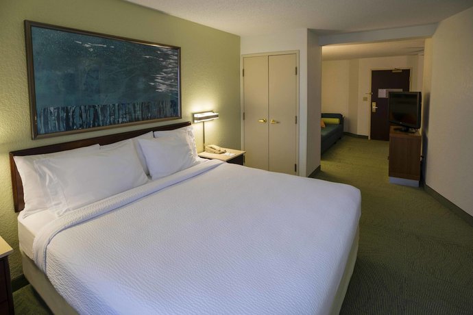 Imagen de la habitación del Hotel Springhill Suites By Marriott Bolingbrook. Foto 11