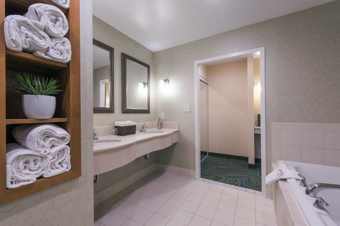 Imagen de la habitación del Hotel Springhill Suites By Marriott Boston Devens Common Center. Foto 16