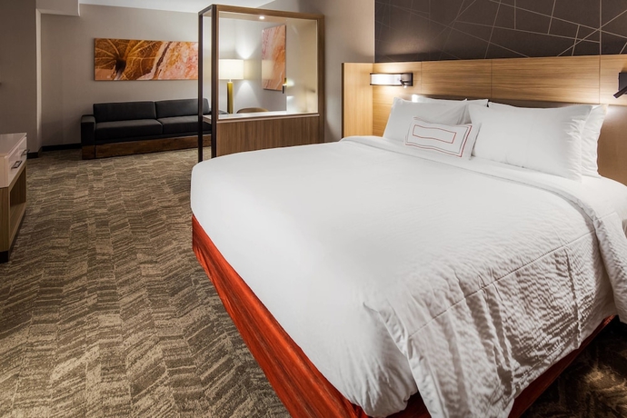 Imagen de la habitación del Hotel Springhill Suites By Marriott Chambersburg. Foto 13