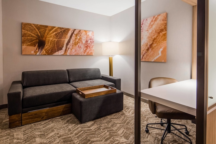 Imagen de la habitación del Hotel Springhill Suites By Marriott Chambersburg. Foto 18