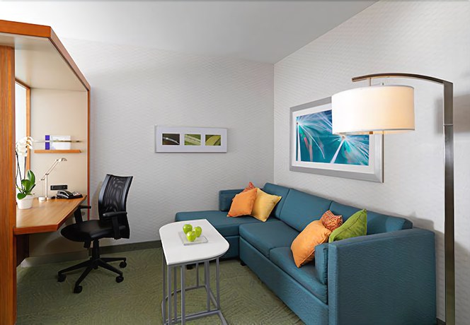 Imagen de la habitación del Hotel Springhill Suites By Marriott Charleston Mount Pleasant. Foto 4