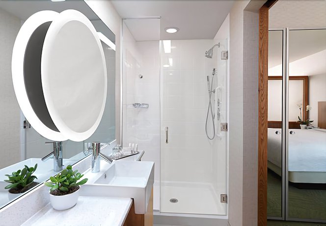 Imagen de la habitación del Hotel Springhill Suites By Marriott Charleston Mount Pleasant. Foto 6