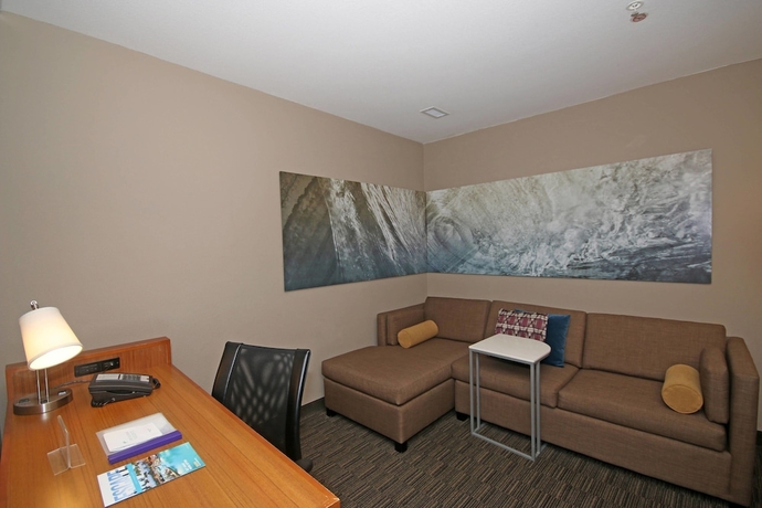 Imagen de la habitación del Hotel Springhill Suites By Marriott Charleston N./ashley Phosphate. Foto 9