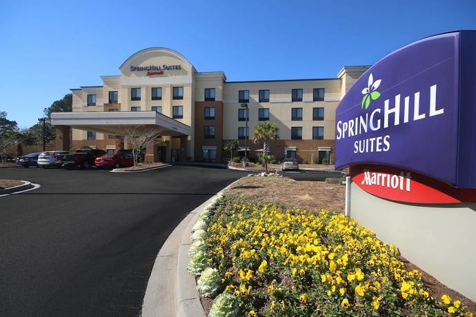 Imagen general del Hotel Springhill Suites By Marriott Charleston N./ashley Phosphate. Foto 1