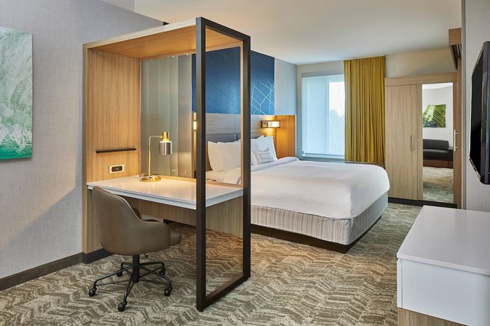 Imagen de la habitación del Hotel Springhill Suites By Marriott Charlotte At Carowinds. Foto 7