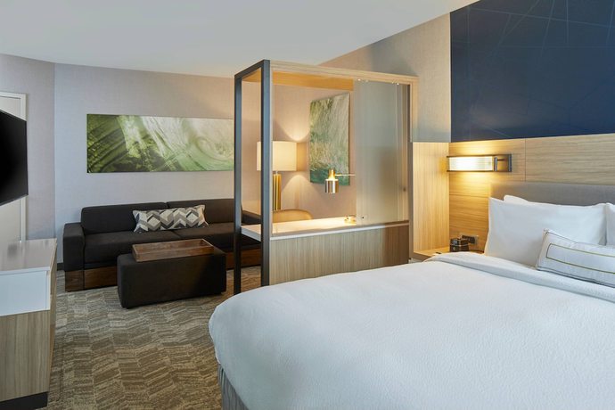Imagen de la habitación del Hotel Springhill Suites By Marriott Charlotte At Carowinds. Foto 13
