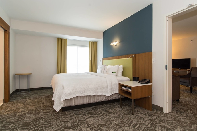 Imagen de la habitación del Hotel Springhill Suites By Marriott Charlotte Ballantyne. Foto 11
