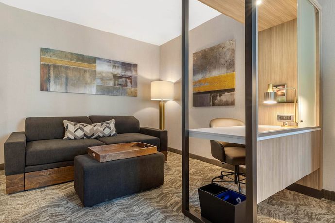 Imagen de la habitación del Hotel Springhill Suites By Marriott Charlotte Southwest. Foto 9