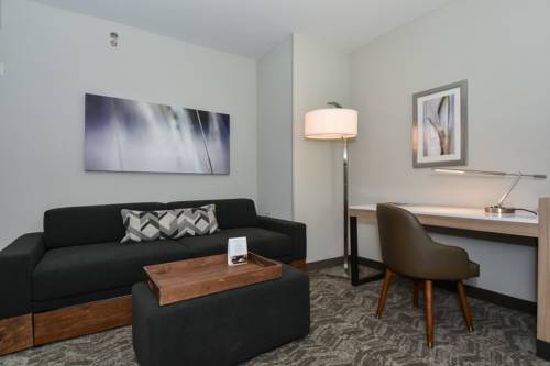 Imagen de la habitación del Hotel Springhill Suites By Marriott Charlotte Uptown. Foto 6