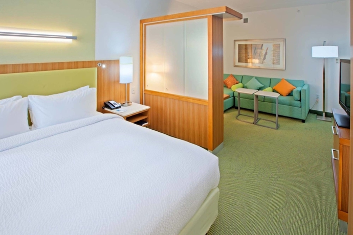 Imagen de la habitación del Hotel Springhill Suites By Marriott Chattanooga Downtown/cameron Harbor. Foto 12
