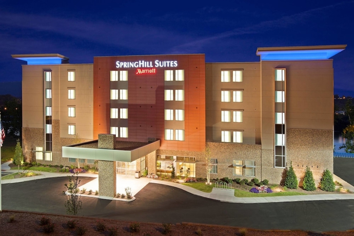 Imagen general del Hotel Springhill Suites By Marriott Chattanooga Downtown/cameron Harbor. Foto 5