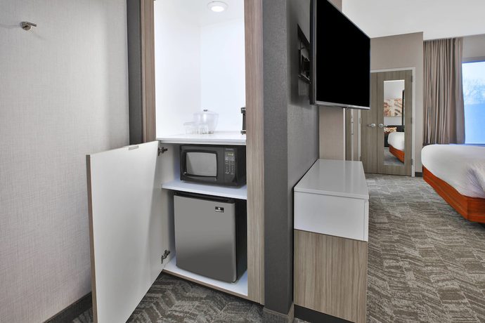 Imagen de la habitación del Hotel Springhill Suites By Marriott Chattanooga North/ooltewah. Foto 9