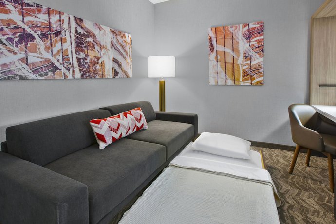 Imagen de la habitación del Hotel Springhill Suites By Marriott Chattanooga North/ooltewah. Foto 14