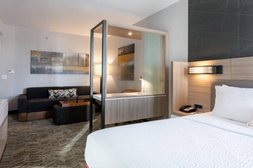 Imagen general del Hotel Springhill Suites By Marriott Chattanooga South/ringgold, Ga. Foto 6