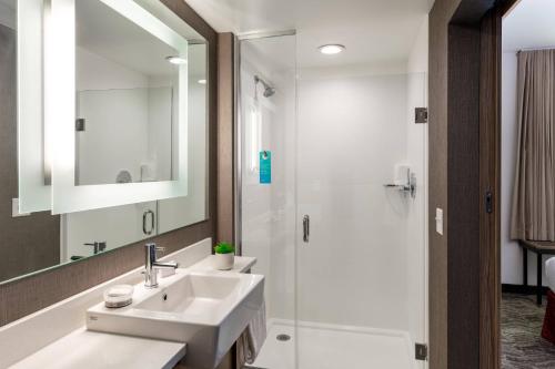 Imagen general del Hotel Springhill Suites By Marriott Chattanooga South/ringgold, Ga. Foto 8