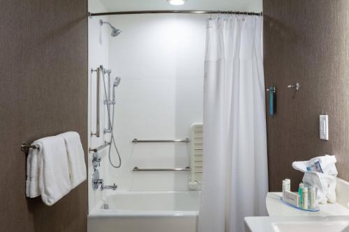 Imagen general del Hotel Springhill Suites By Marriott Chattanooga South/ringgold, Ga. Foto 11