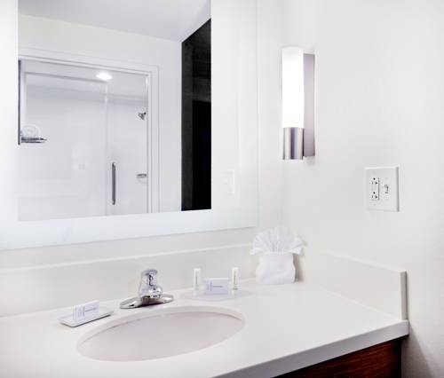 Imagen de la habitación del Hotel Springhill Suites By Marriott Chesapeake Greenbrier. Foto 6