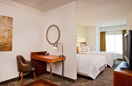 Imagen de la habitación del Hotel Springhill Suites By Marriott Chesapeake Greenbrier. Foto 7