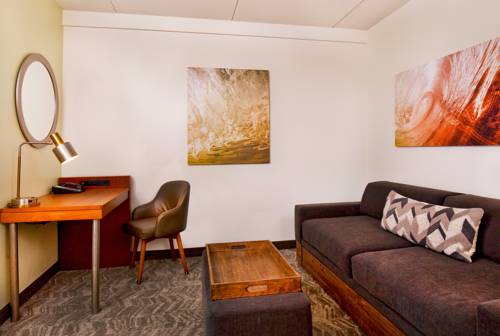 Imagen de la habitación del Hotel Springhill Suites By Marriott Chesapeake Greenbrier. Foto 13