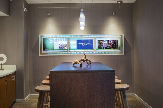 Imagen de los interiores del Hotel Springhill Suites By Marriott Chicago Lincolnshire. Foto 18