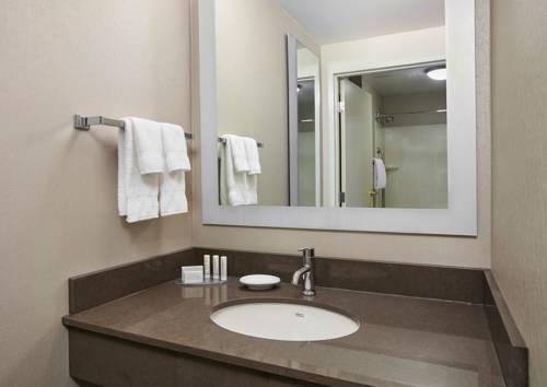 Imagen de la habitación del Hotel Springhill Suites By Marriott Chicago Schaumburg/woodfield. Foto 4