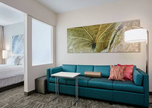 Imagen de la habitación del Hotel Springhill Suites By Marriott Chicago Schaumburg/woodfield. Foto 5