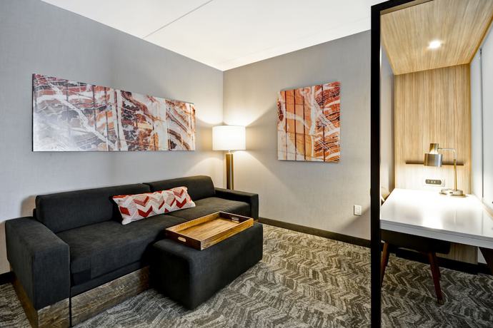 Imagen de la habitación del Hotel Springhill Suites By Marriott Cincinnati Blue Ash. Foto 2