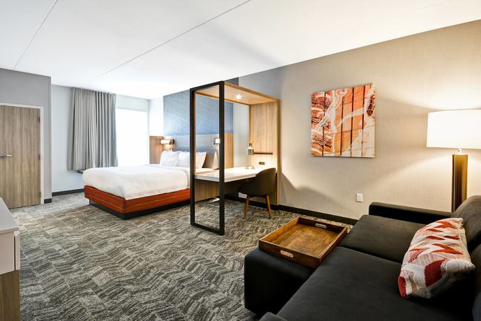 Imagen de la habitación del Hotel Springhill Suites By Marriott Cincinnati Blue Ash. Foto 6