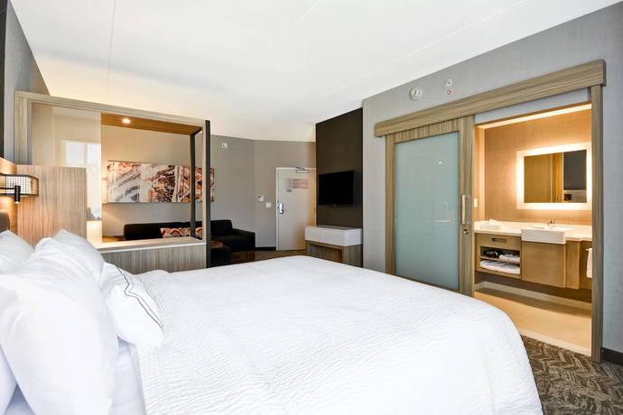 Imagen de la habitación del Hotel Springhill Suites By Marriott Cincinnati Blue Ash. Foto 9