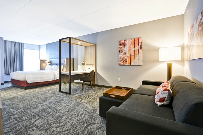 Imagen de la habitación del Hotel Springhill Suites By Marriott Cincinnati Blue Ash. Foto 10