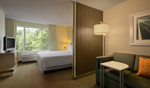 Imagen de la habitación del Hotel Springhill Suites By Marriott Cincinnati Northeast. Foto 5