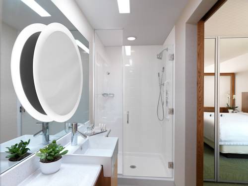 Imagen de la habitación del Hotel Springhill Suites By Marriott Cincinnati Northeast. Foto 6
