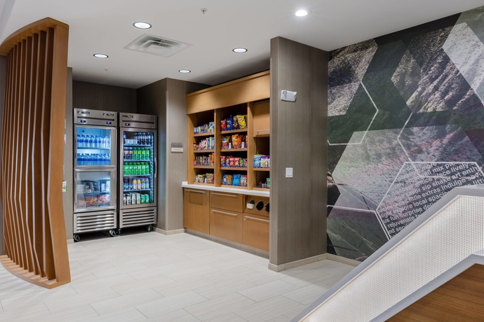Imagen general del Hotel Springhill Suites By Marriott Columbia, Columbia. Foto 2
