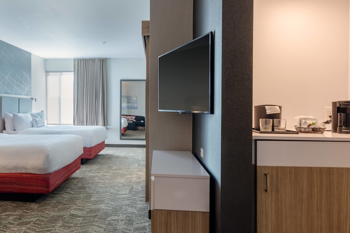 Imagen de la habitación del Hotel Springhill Suites By Marriott Columbia, Columbia. Foto 12