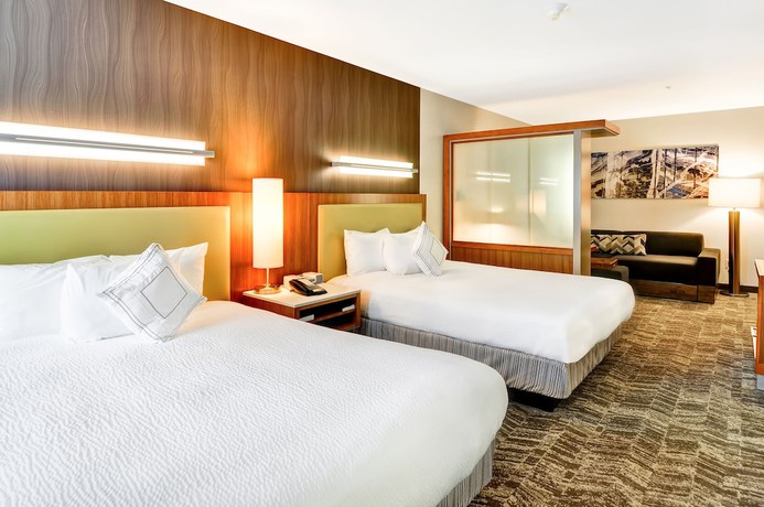 Imagen de la habitación del Hotel Springhill Suites By Marriott Columbia, Columbia. Foto 3