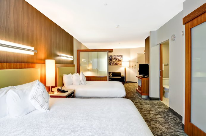 Imagen de la habitación del Hotel Springhill Suites By Marriott Columbia, Columbia. Foto 5