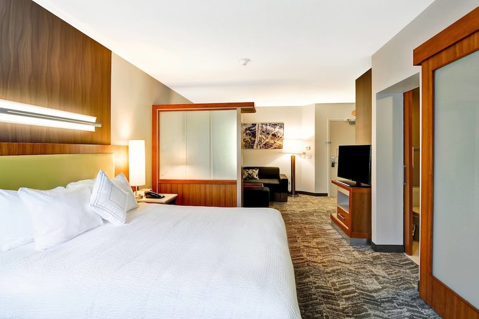 Imagen de la habitación del Hotel Springhill Suites By Marriott Columbia, Columbia. Foto 6