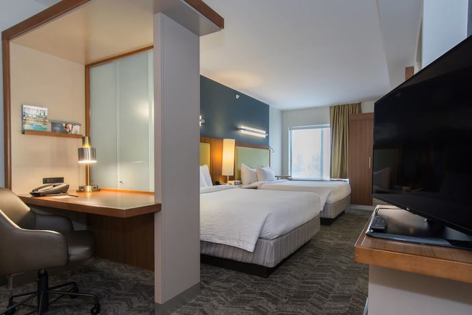 Imagen de la habitación del Hotel Springhill Suites By Marriott Columbia Downtown/the Vista. Foto 11