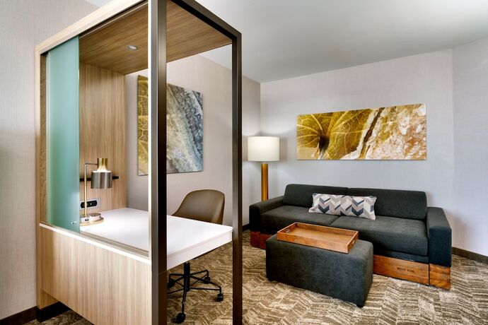 Imagen de la habitación del Hotel Springhill Suites By Marriott Cottonwood. Foto 20