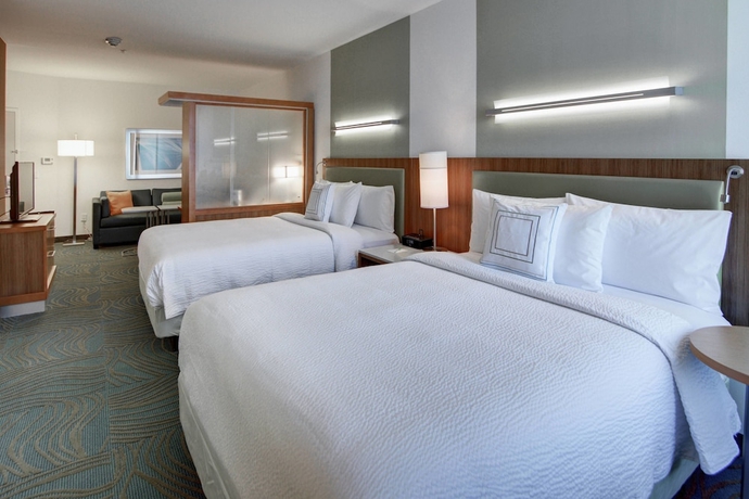 Imagen de la habitación del Hotel Springhill Suites By Marriott Dallas Plano/frisco. Foto 6
