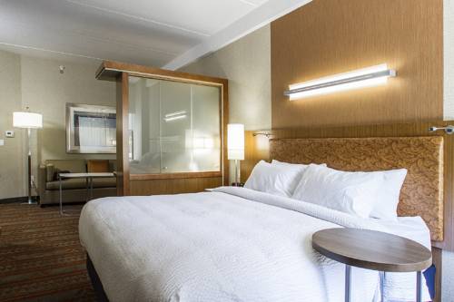 Imagen de la habitación del Hotel Springhill Suites By Marriott Deadwood. Foto 3