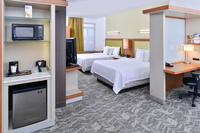 Imagen de la habitación del Hotel Springhill Suites By Marriott Detroit Metro Airport Romulus. Foto 8