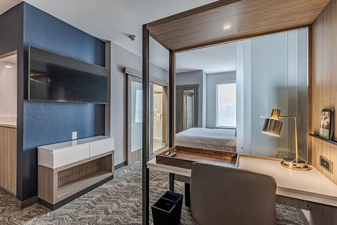 Imagen de la habitación del Hotel Springhill Suites By Marriott Detroit Sterling Heights. Foto 6