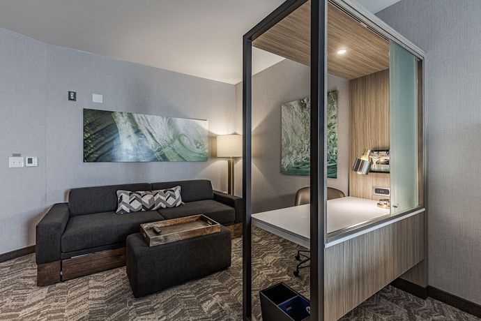 Imagen de la habitación del Hotel Springhill Suites By Marriott Detroit Sterling Heights. Foto 7