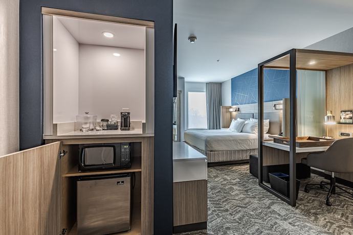 Imagen de la habitación del Hotel Springhill Suites By Marriott Detroit Sterling Heights. Foto 8